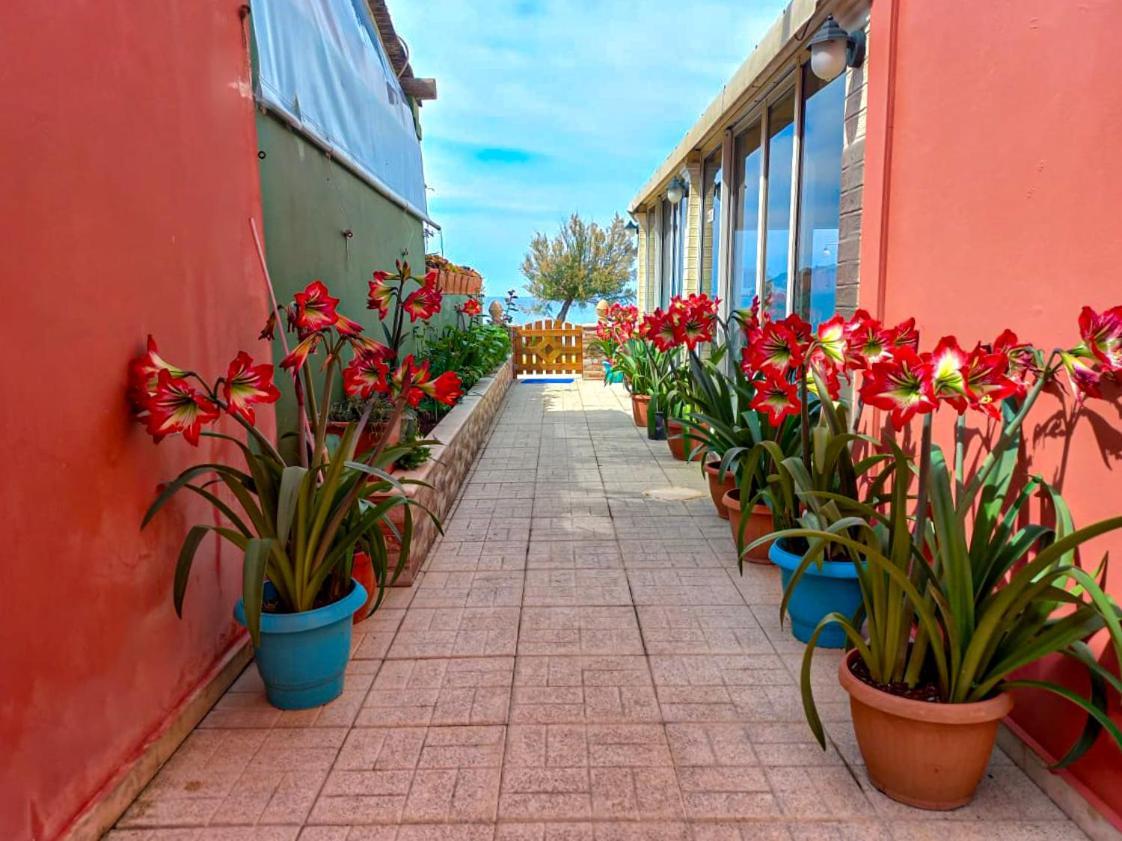 Porto-Fino Hotel Arillas  Exterior photo